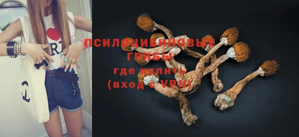 мет Надым