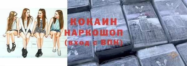 твердый Алексин
