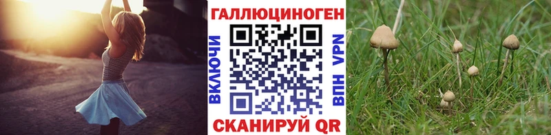 omg маркетплейс  Новый Оскол  Псилоцибиновые грибы ЛСД  дарнет шоп 